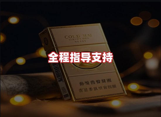 专业团队